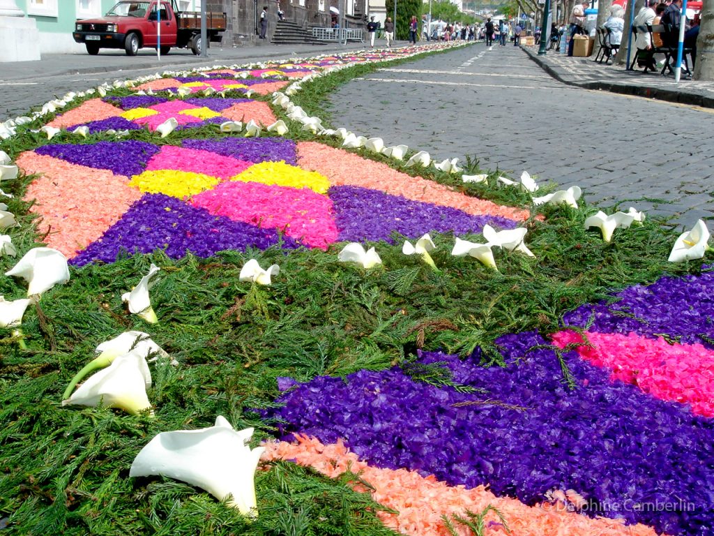 Flowers carpet