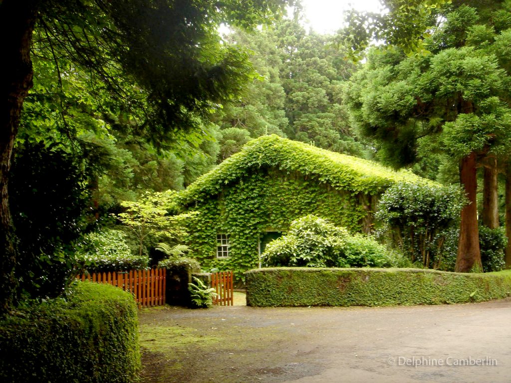 House Wrapped of Greenery