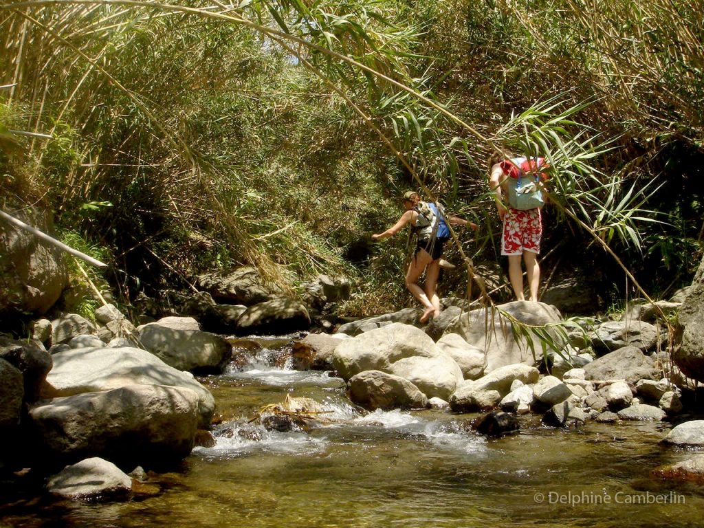 Small River Sao Miguel