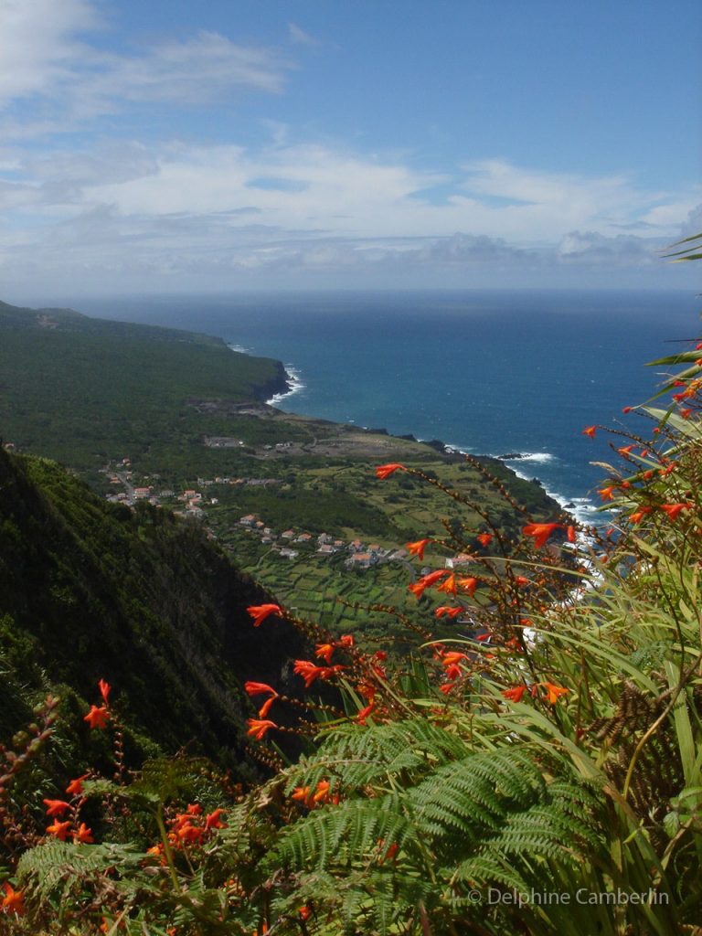 Vista de Horta