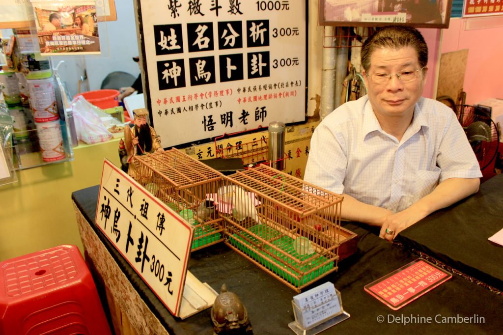 Fortunate Teller Taipei