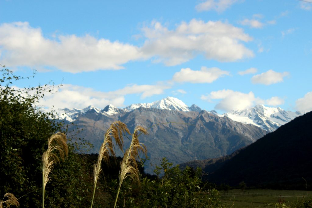 Franz Joseph Glacier view