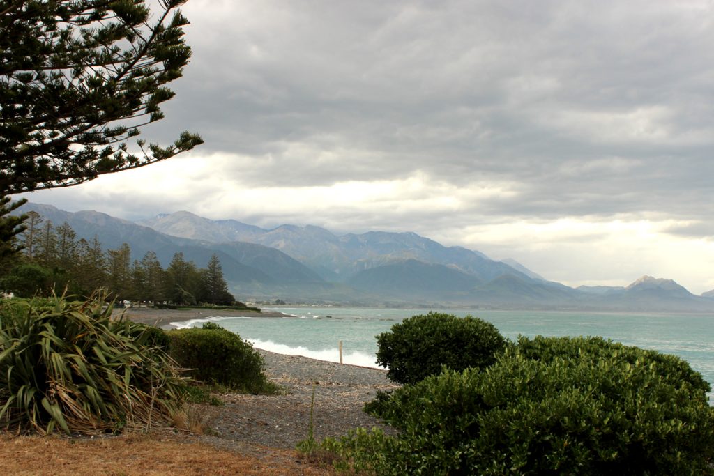 Kaikoura Beach