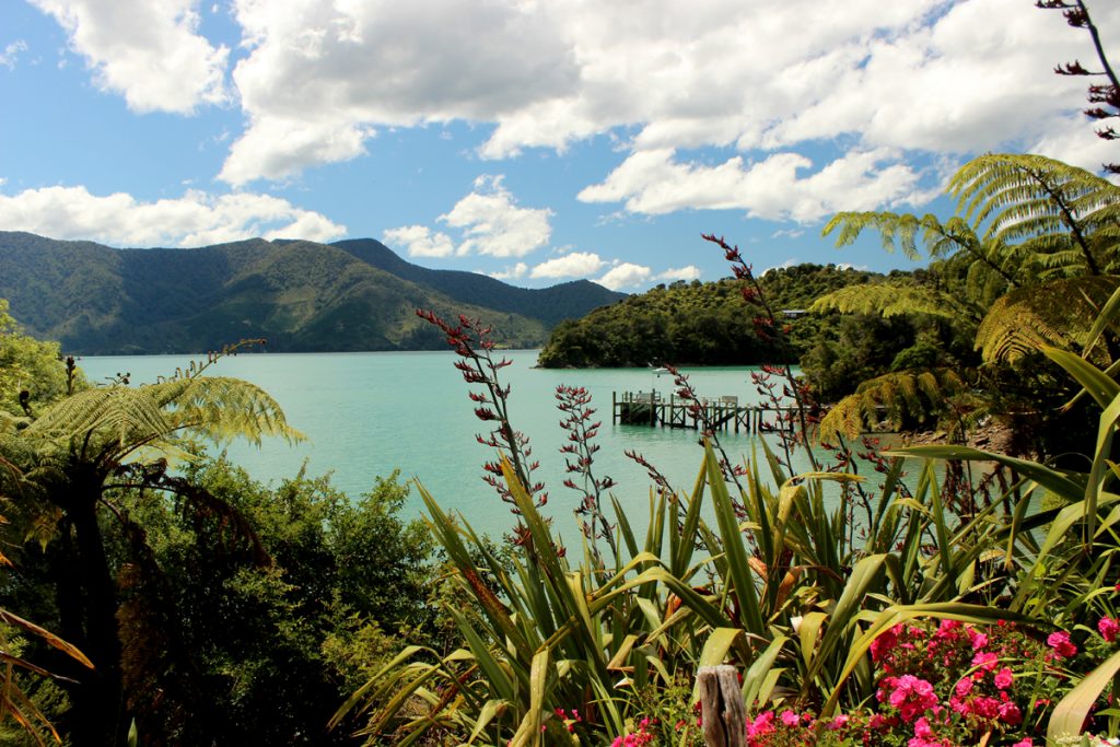 PictonMarlboroughSounds