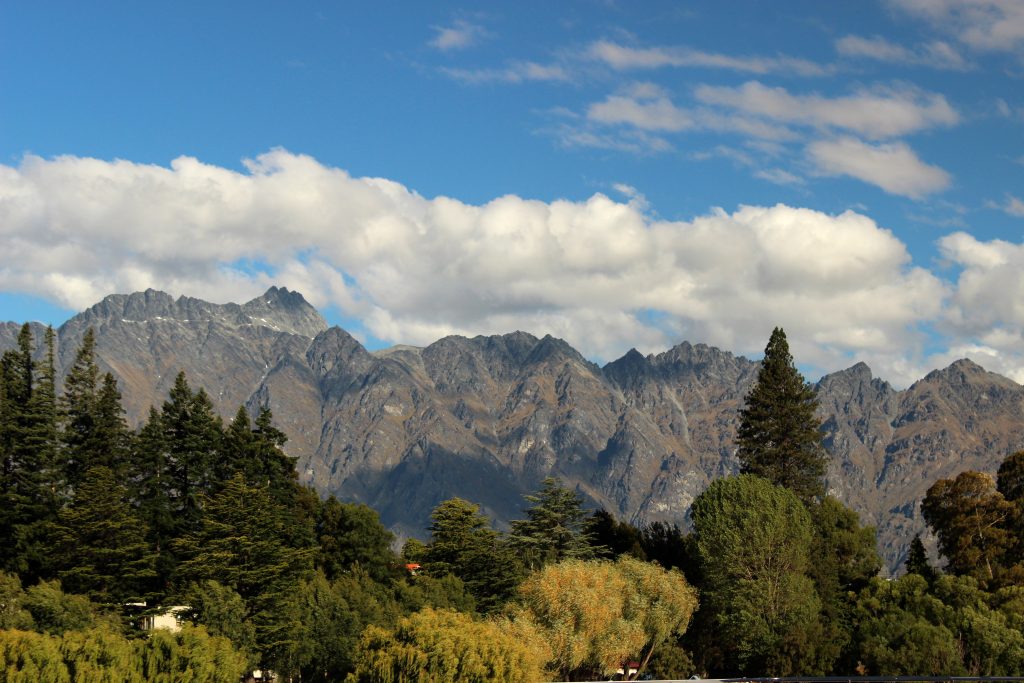 Queenstown_forest