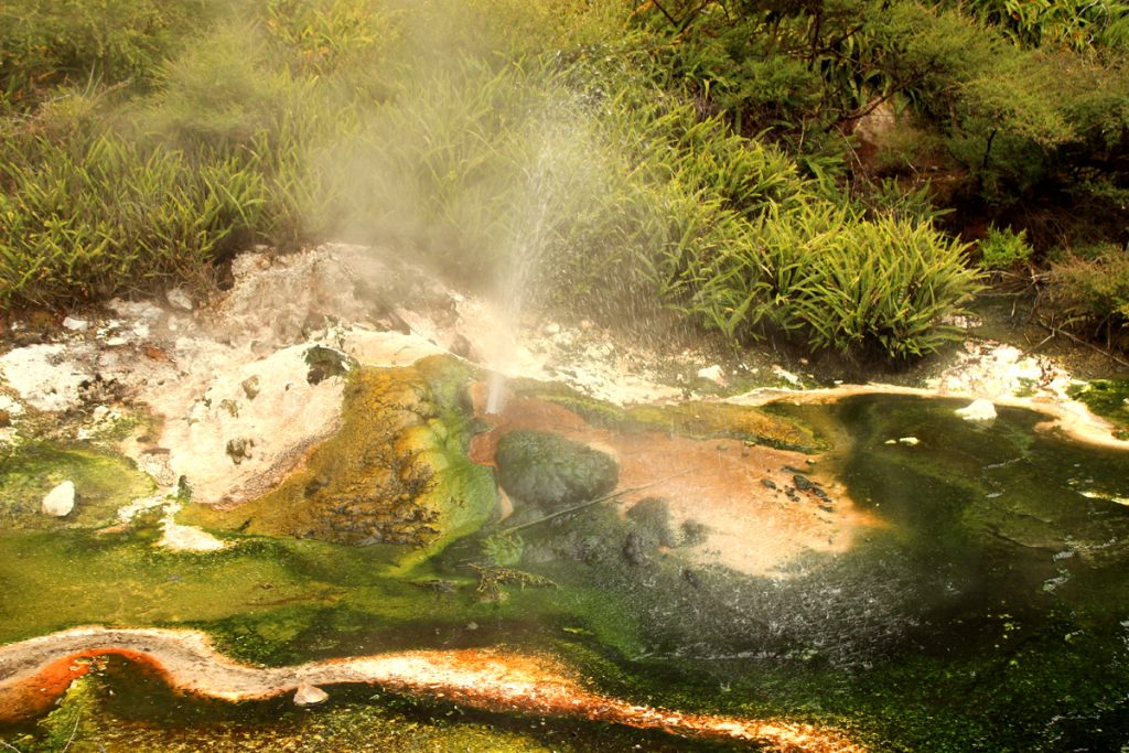 Rotorua_geyser