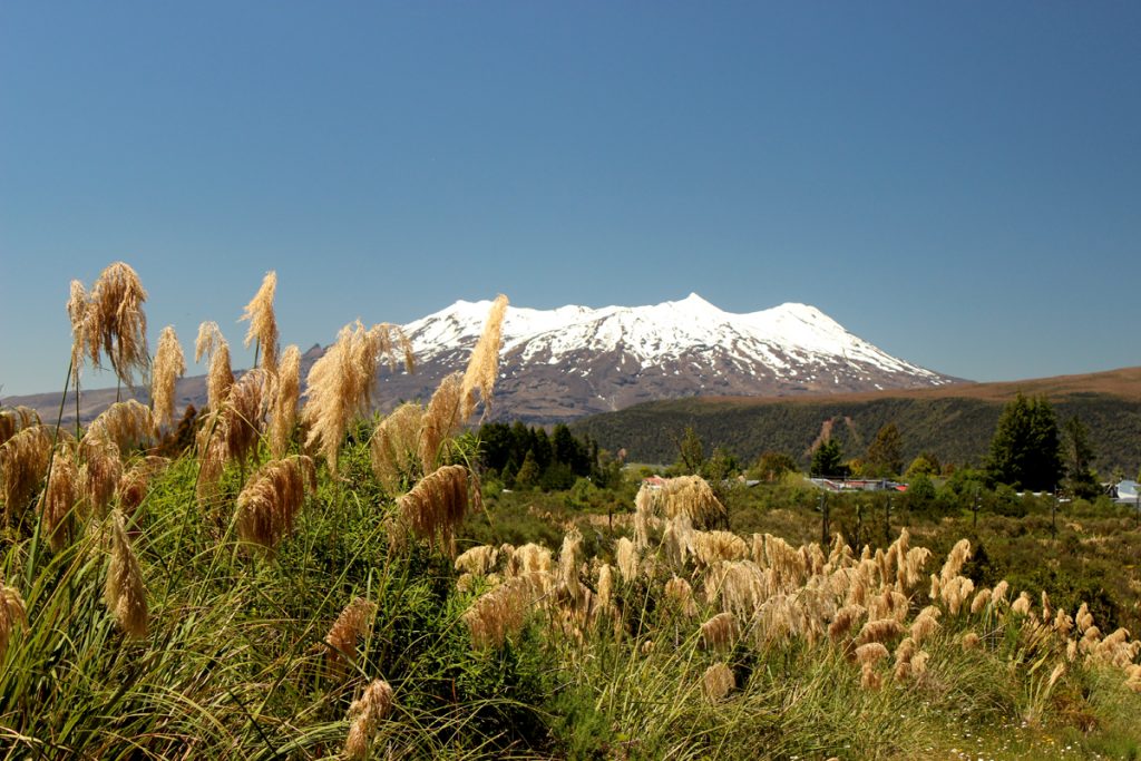 Tongario_Mountain_With_Snow