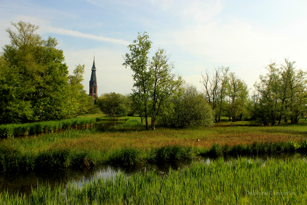 De Poel Amsterdam Bos