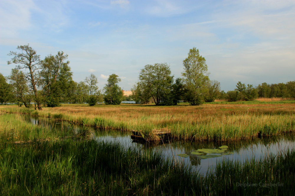 DePoel_Amsterdam Zuid