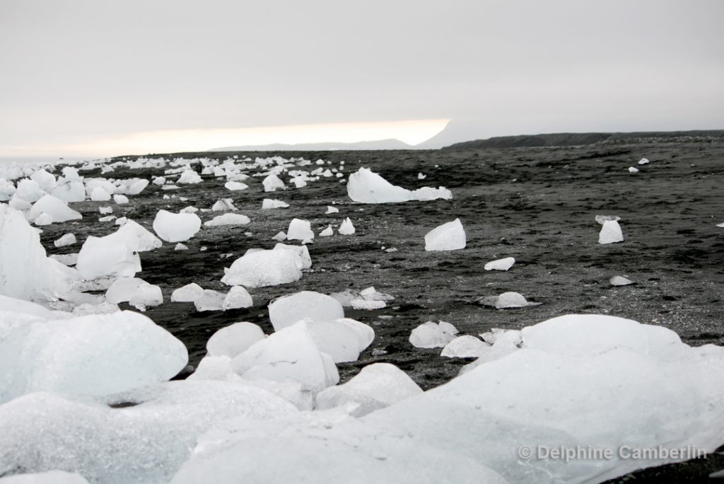 Ice Rocks on Black Sandy Beach Iceland