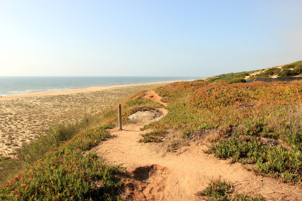 Nazare-dunes-praia-grande