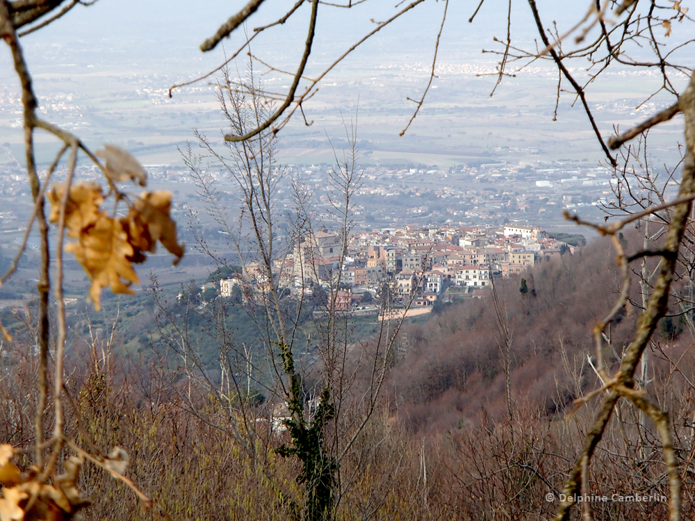 Tuscolo Hidden view