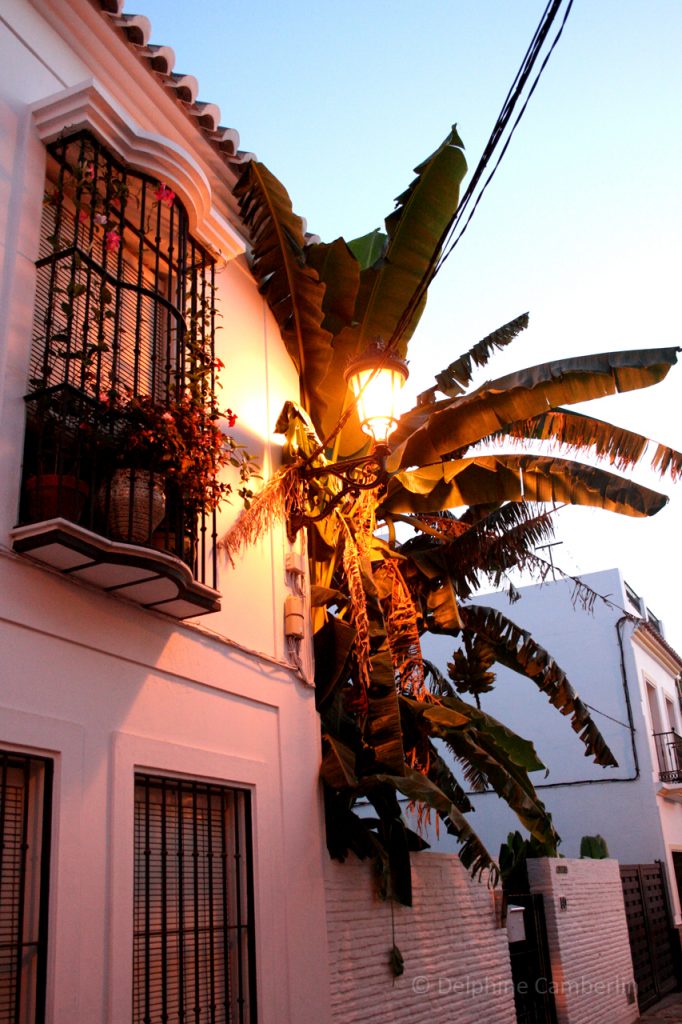 Nerja_Street