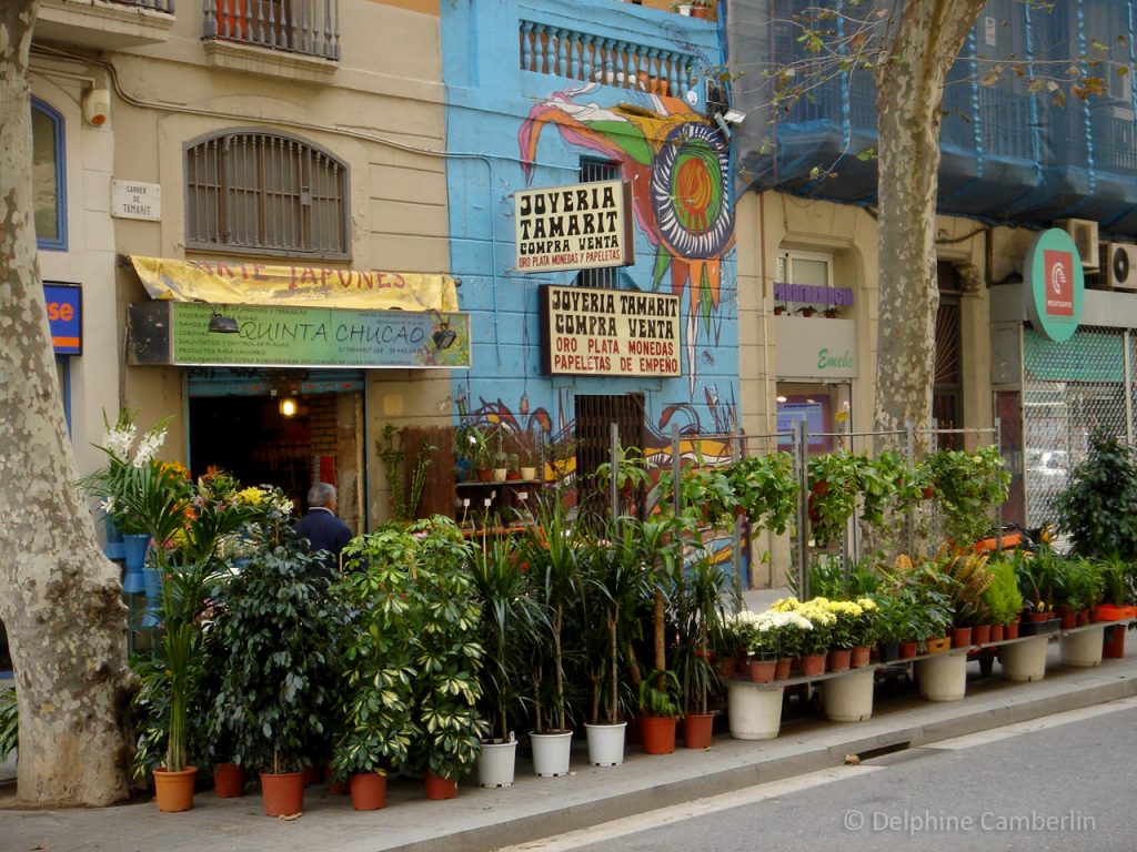 Plaza_Catalunya_Barcelona