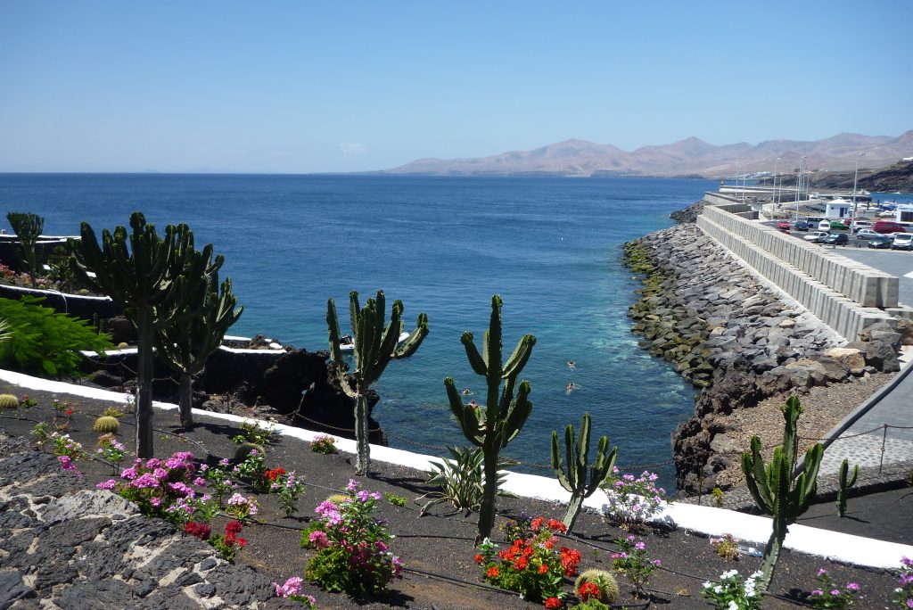 Sea_view_with_Cactus_Lanzarote