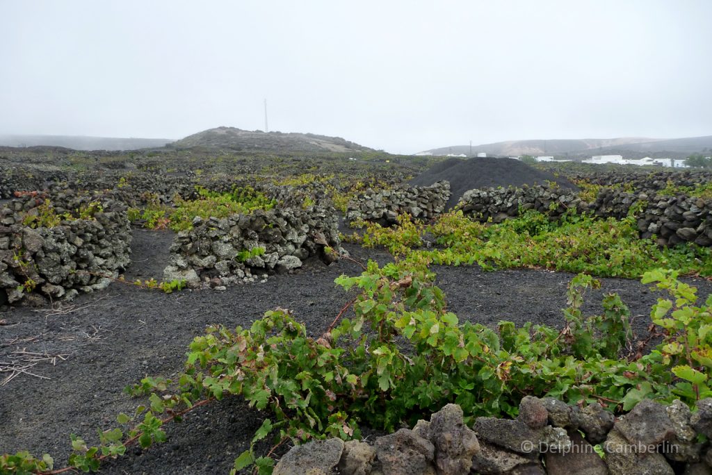 volcano_Stones_Lanzarote