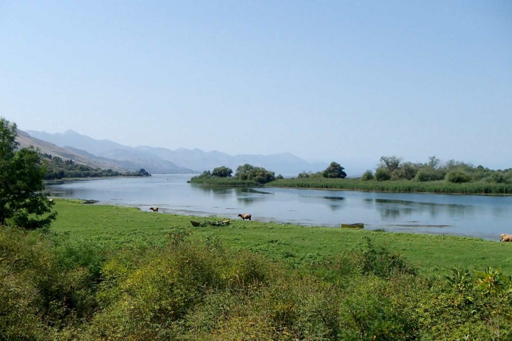 Albania-lake-border-with-Montenegro