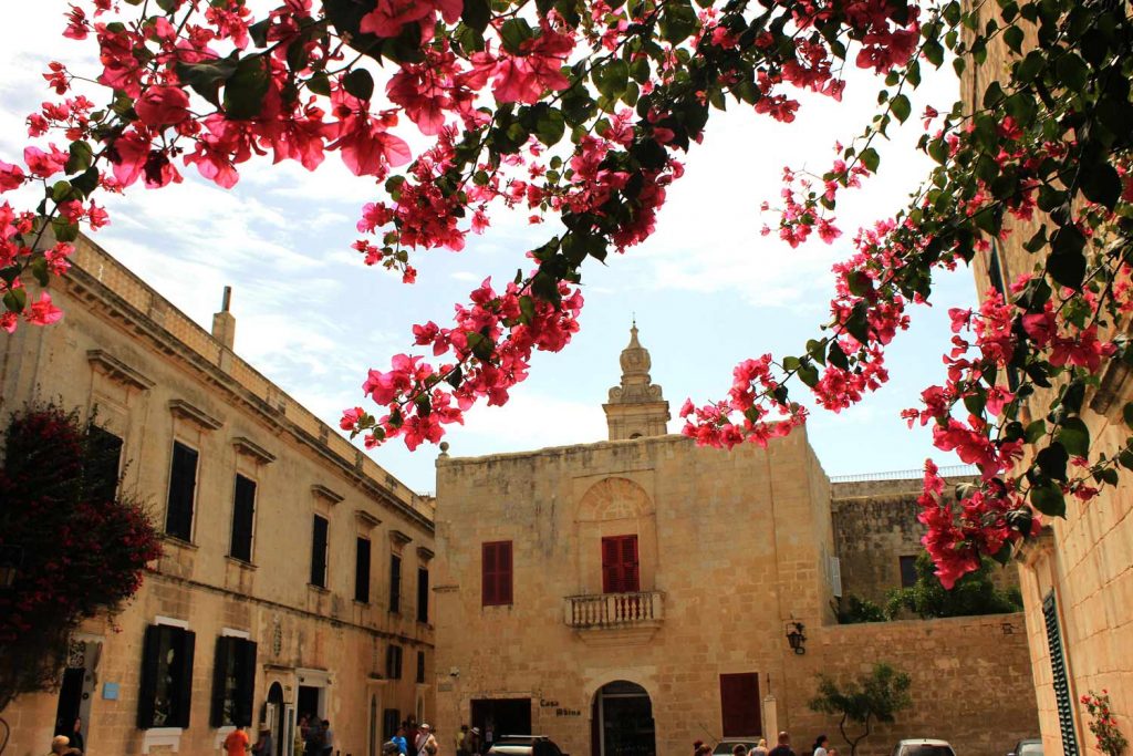 Mdina-flower-building