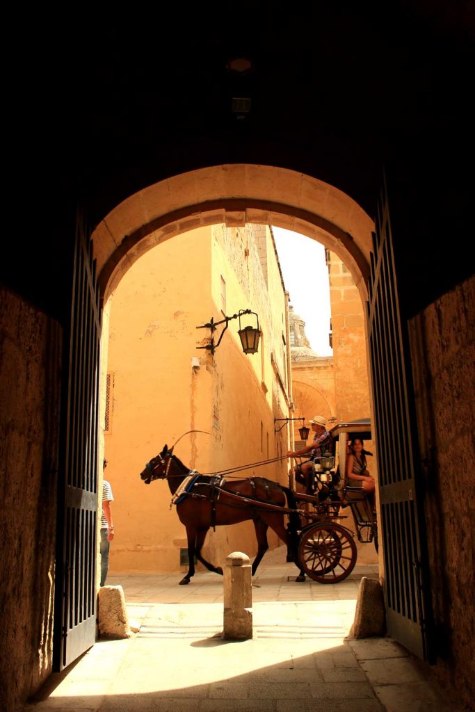 Mdina-horse