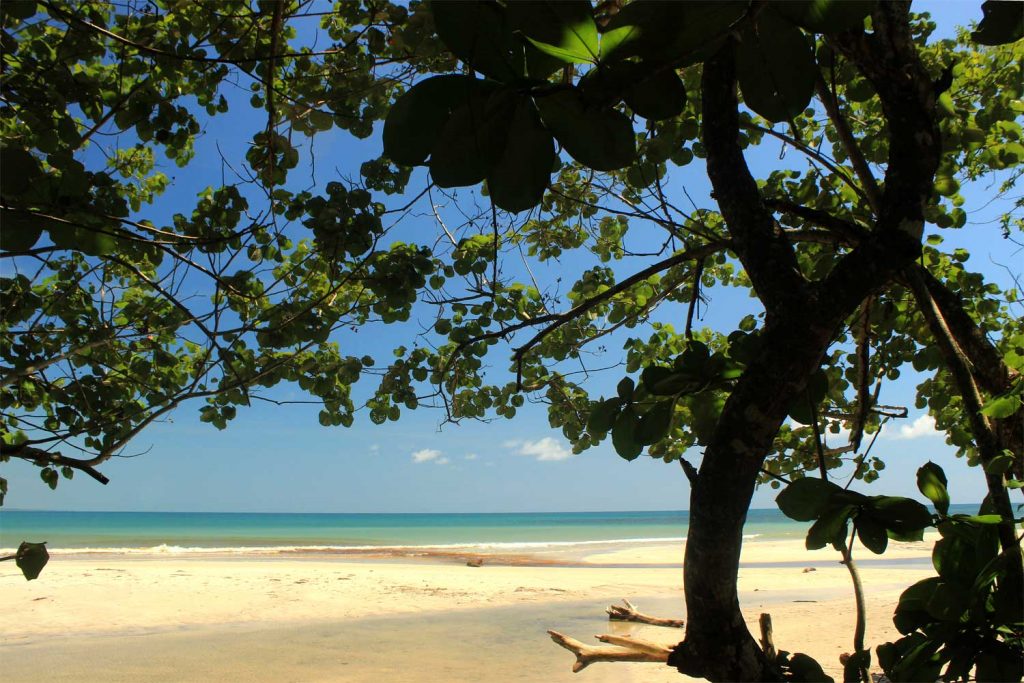 beach-parc-national-cahuita