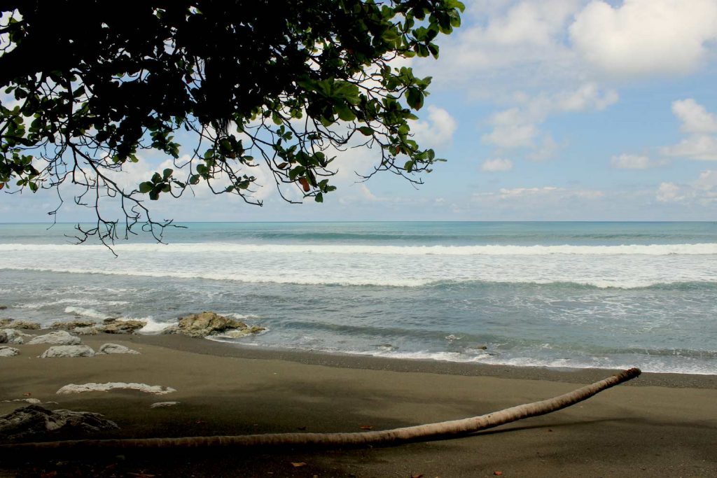 beach-with-palm-tree-corcovado-hike