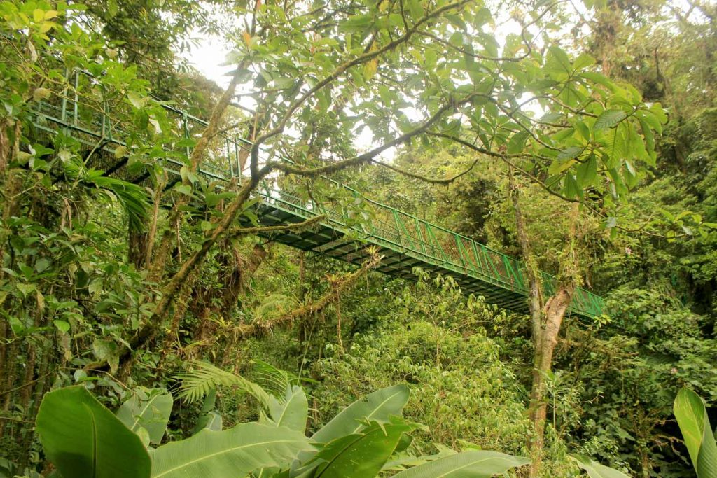 bridge-in-jungle-costa-rica