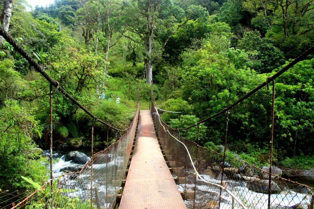 bridge-to-reach-lost-waterfall-hike-boquette