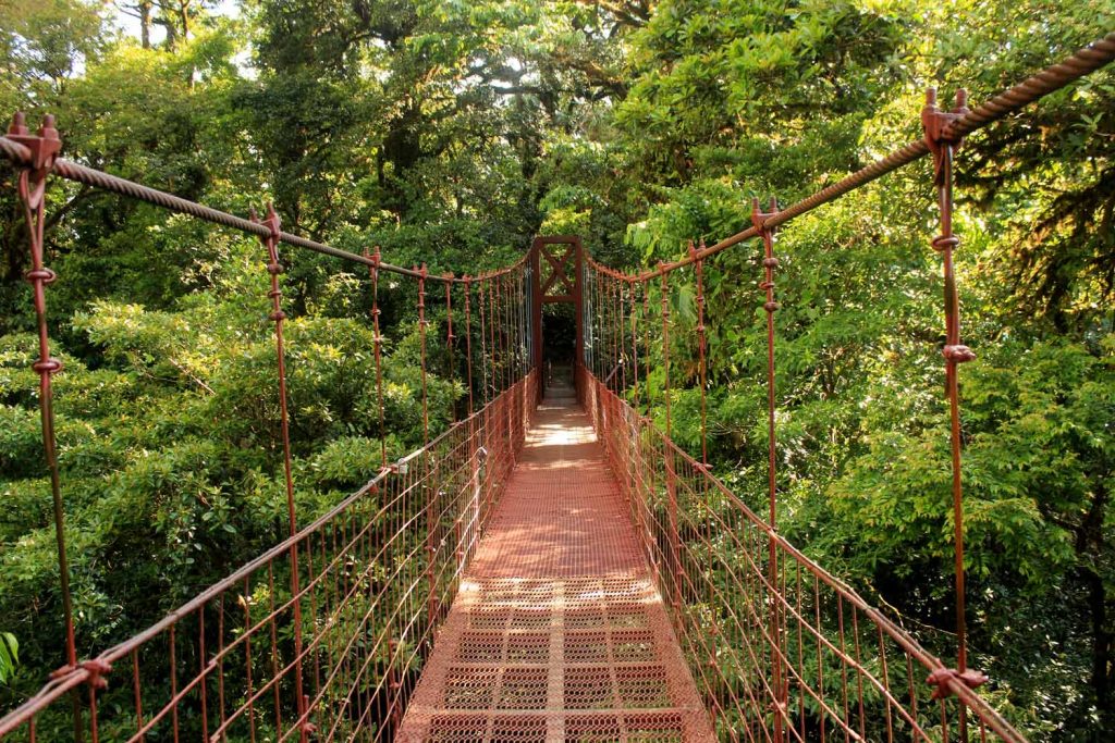 red canopy monteverde