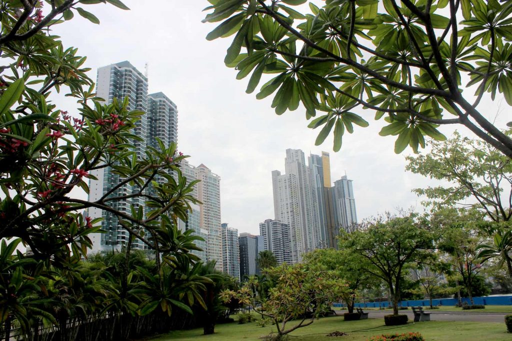 city-center-panama with green trees and building