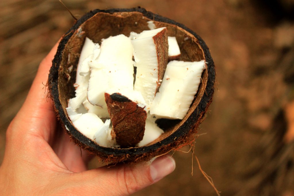 coconut-pieces