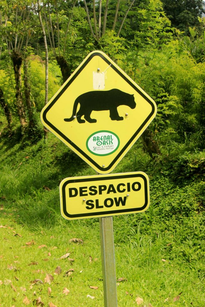 despacio-slow-puma-sign