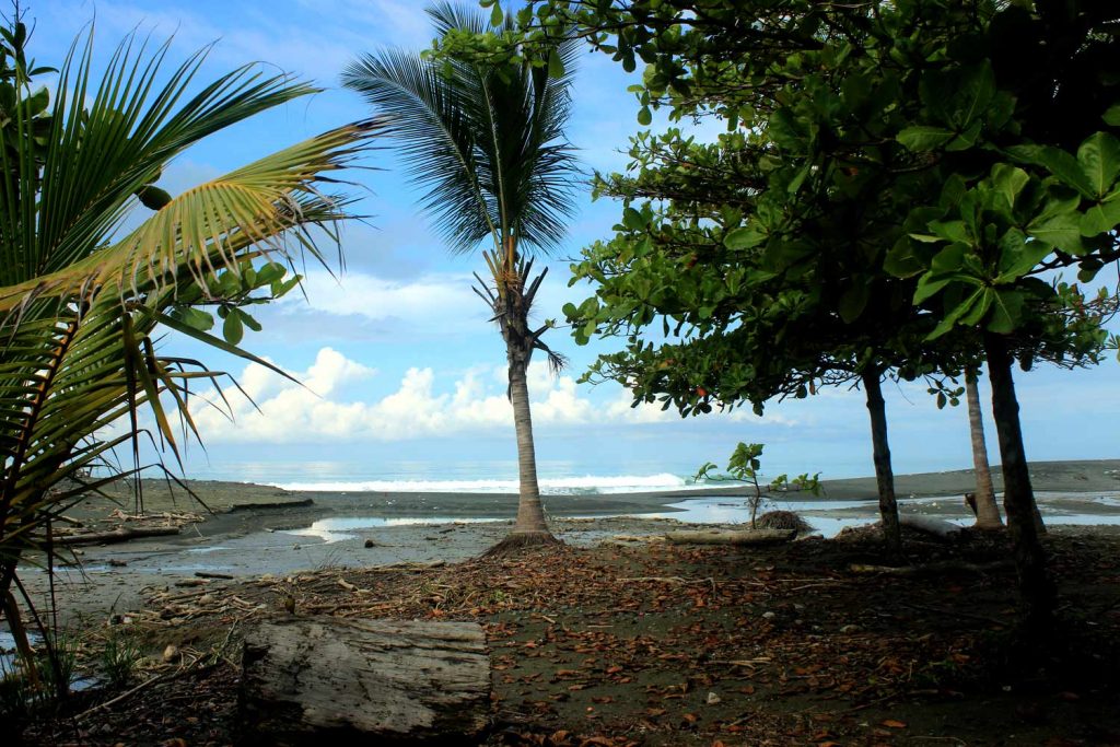 entrance-corcovado