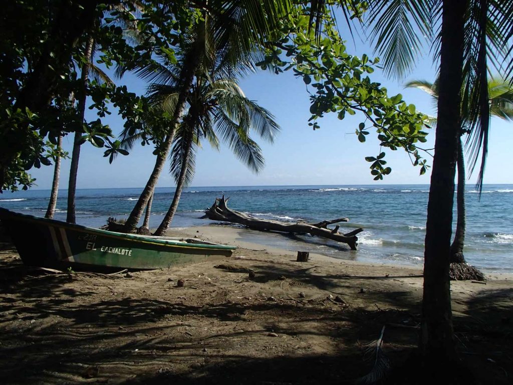 forest-beach-cahuita