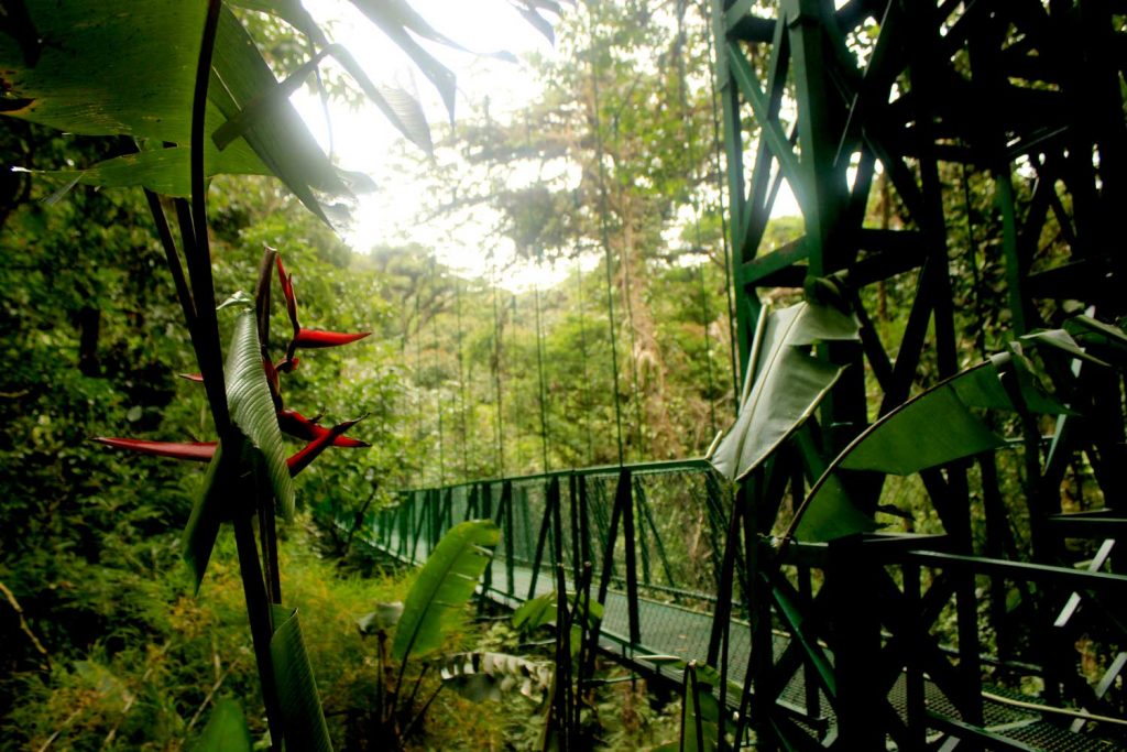 jungle-bridge-costa-rica