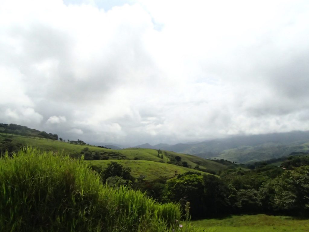 landscape-monteverde