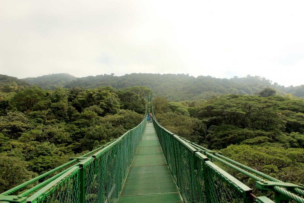 long-walking-bridge-monteverde