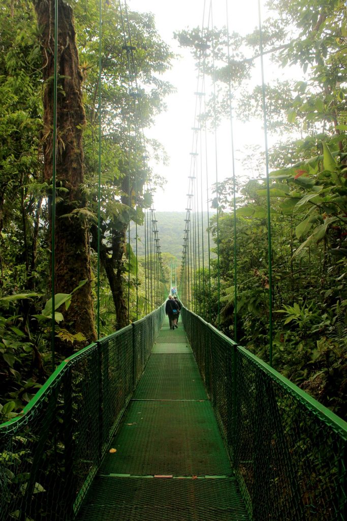 monteverde-high-bridge