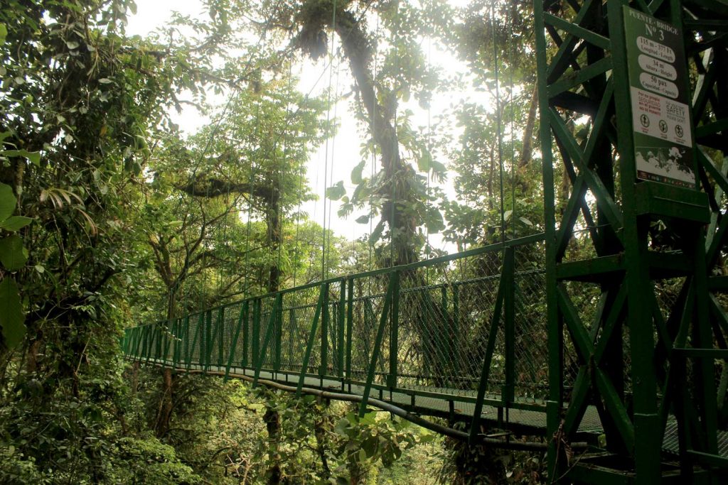 puente-bridge-monteverde