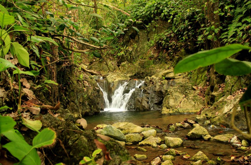 small-waterfall-corcovado-end-first-day-hike