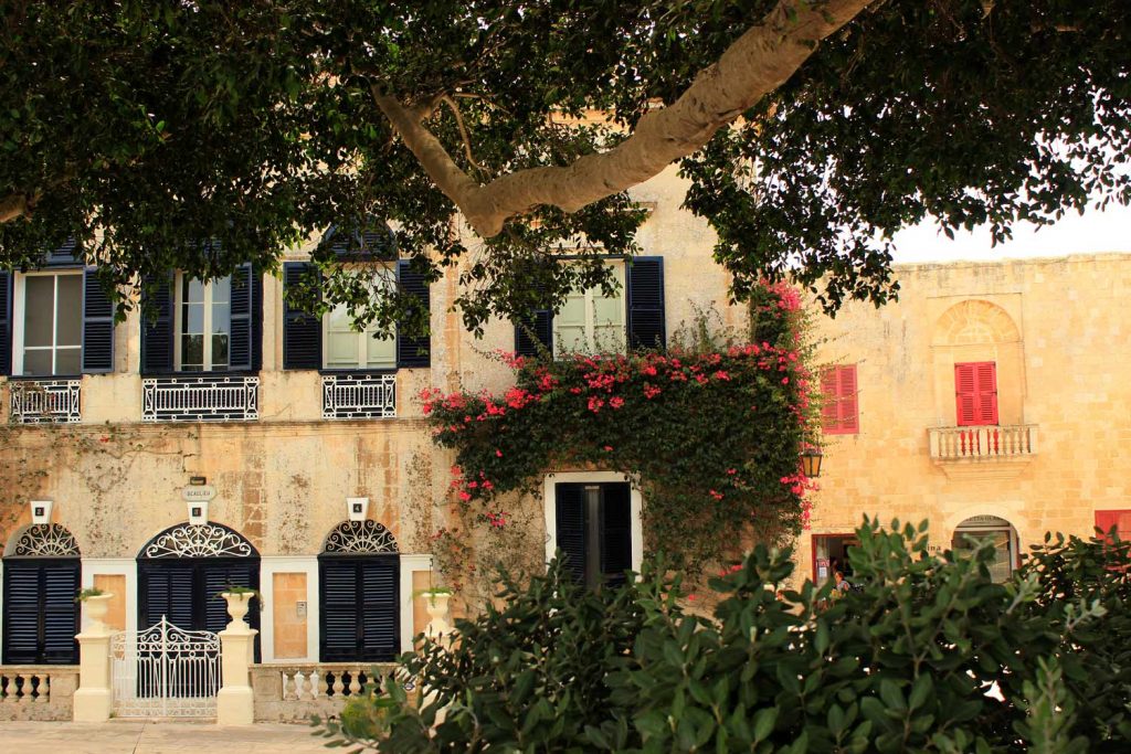 windows-Mdina