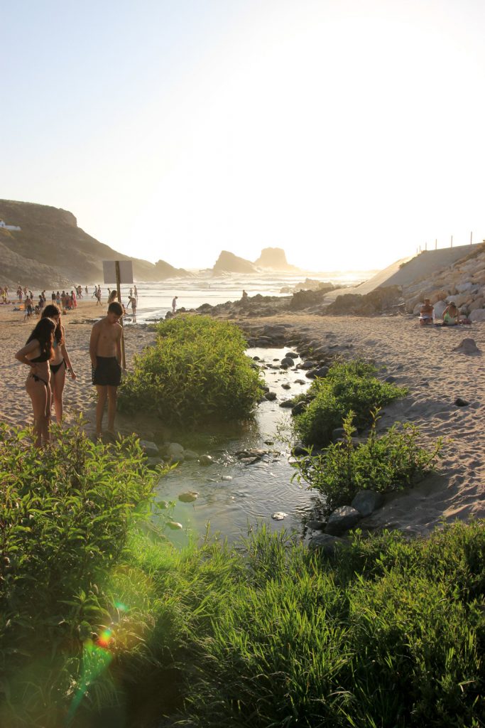 Beach Zambujeira do Mar little river going to sea with green plants