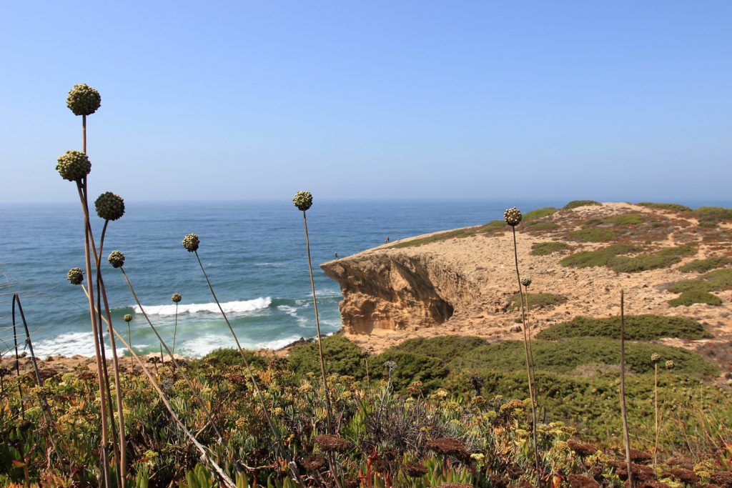 Quebrada Beach Alentejo landscape