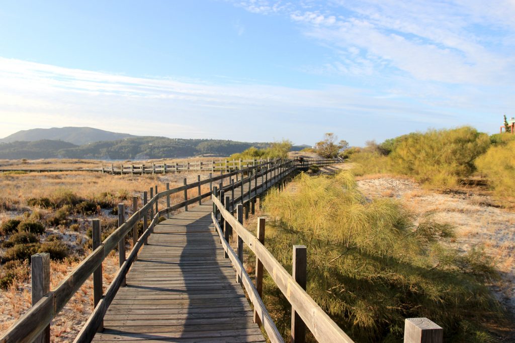 Troia beach wodden path Portugal